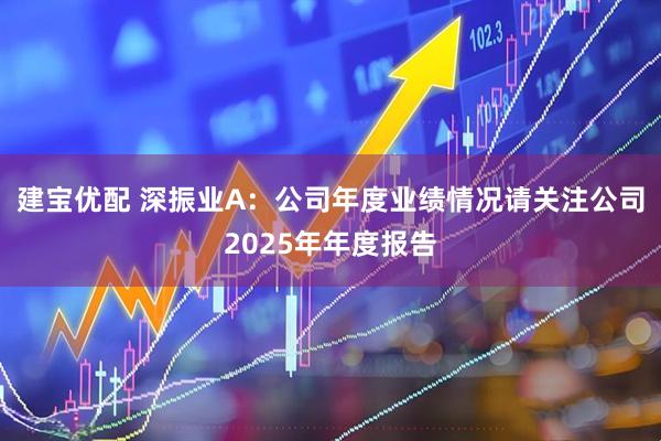 建宝优配 深振业A：公司年度业绩情况请关注公司2025年年度报告